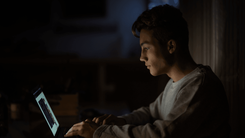 Chatbot Development