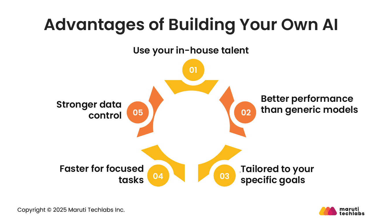 Advantages of Building Your Own AI