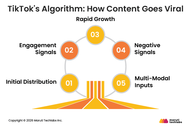 TikTok's Algorithm: How Content Goes Viral