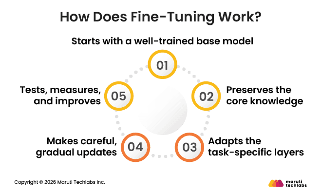 How Does Fine-Tuning Work?