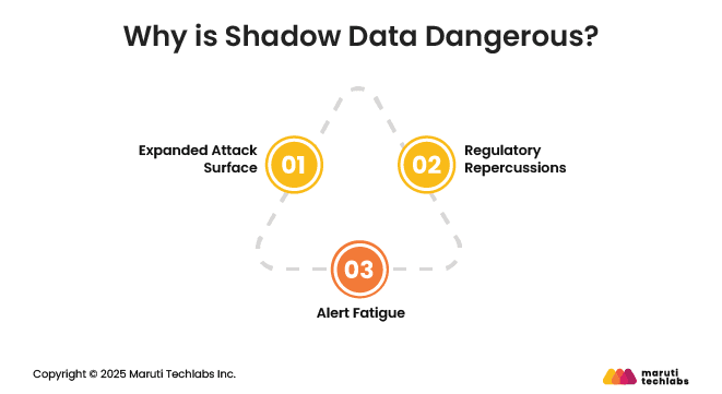 Why is Shadow Data Dangerous?